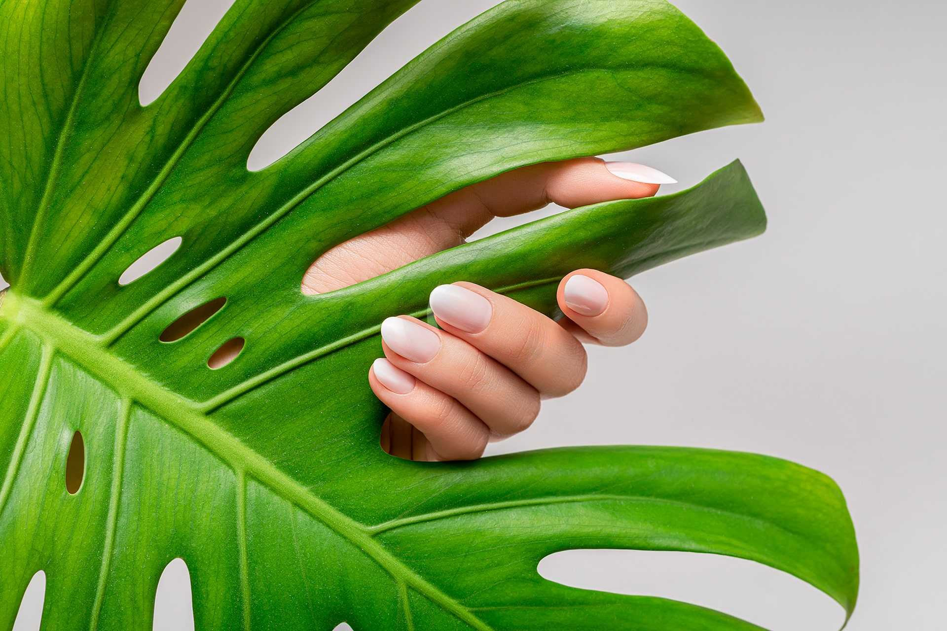 Classic Manicure